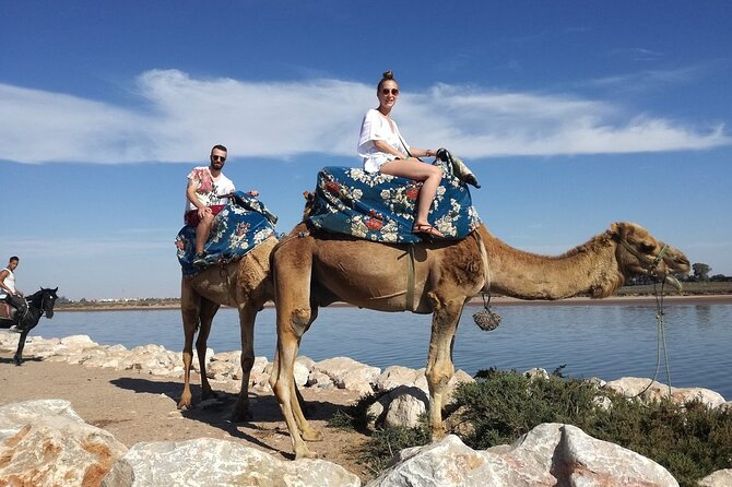 Dromedary Safari: 2 Hours