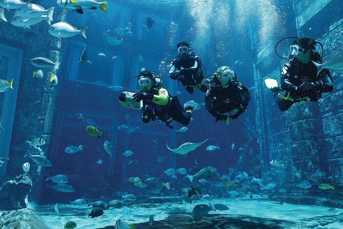 Dubai 2-Hour Small-Group Atlantis Discover Scuba Dive