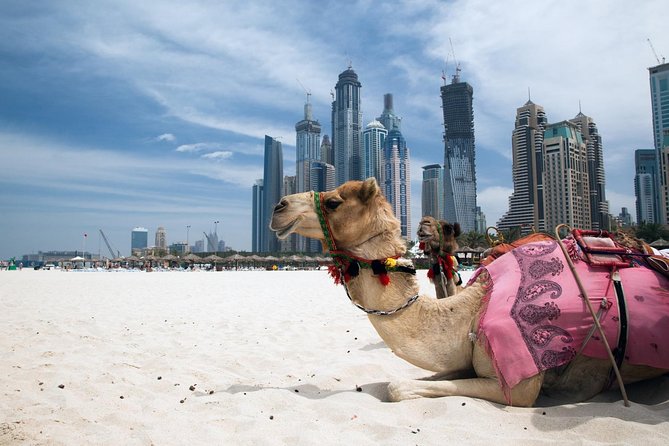 1 dubai all day tour including lunch Dubai All-Day Tour Including Lunch