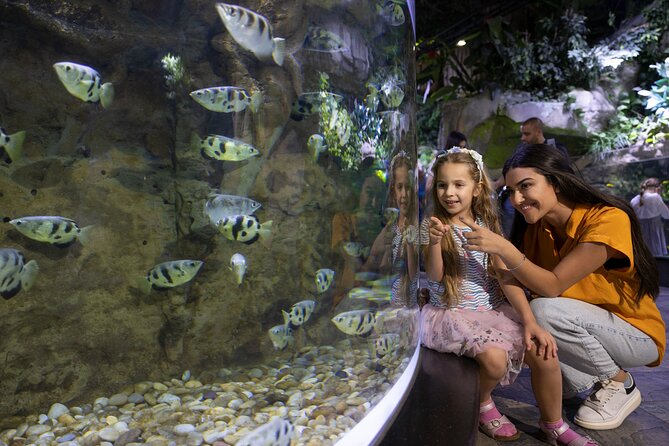 1 dubai aquarium and underwater zoo entrance ticket Dubai Aquarium and Underwater Zoo Entrance Ticket