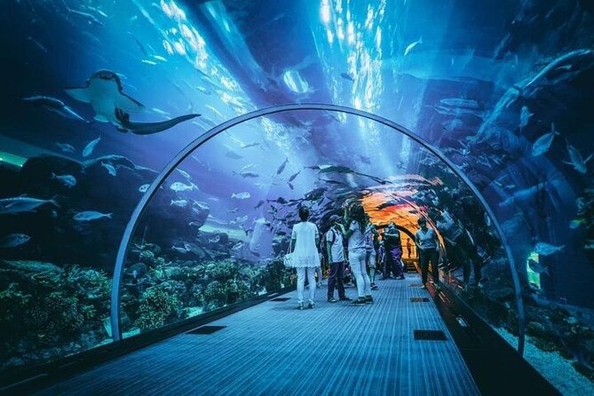 Dubai Aquarium With Glass Bottom Boat Tour