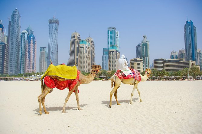 Dubai City Tour With Desert Safari & BBQ Dinner