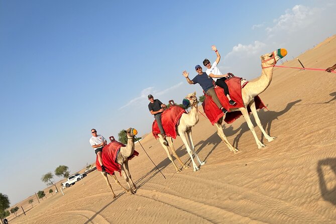 Dubai Desert Safari With Camel Ride, Shows and Dinner