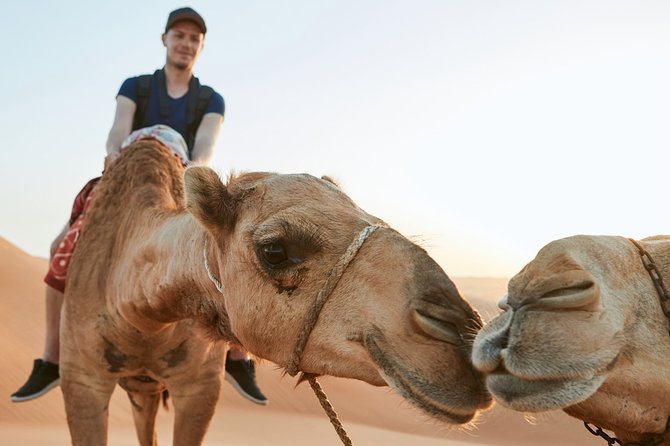 Dubai Red Dune Safari With Quad Bike, Sandboard & Camel Ride