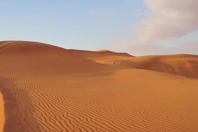 Dubai Red Dunes Desert Safari Adventure
