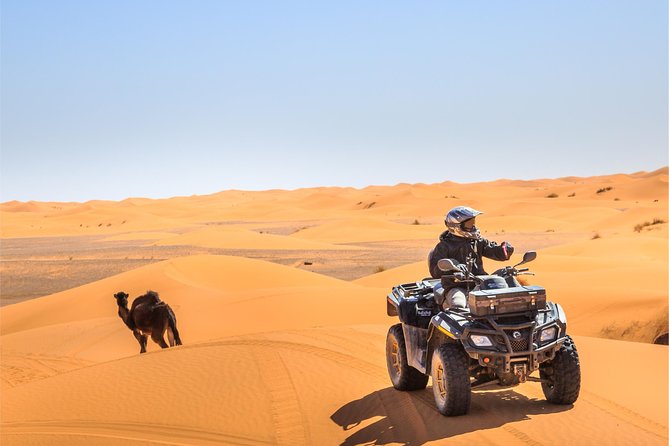 Dubai Red Dunes Safari With ATV, Camel Ride, BBQ and Shows