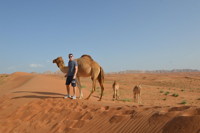 Dubai Self-Drive 4WD Desert and Dune Bash Safari