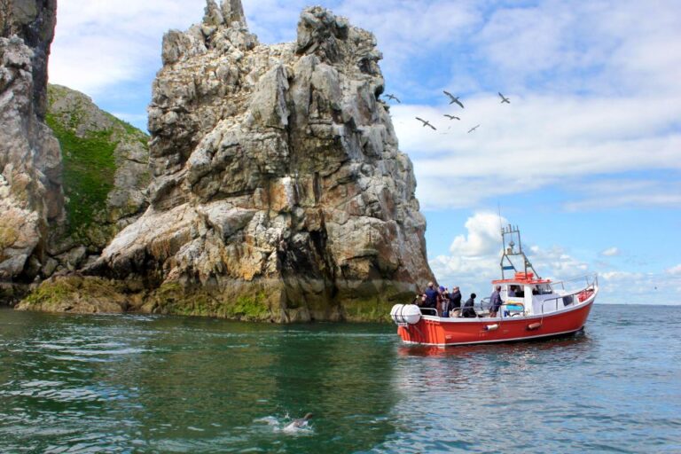 Dublin: Howth Coastal Boat Tour With Ireland’s Eye Ferries