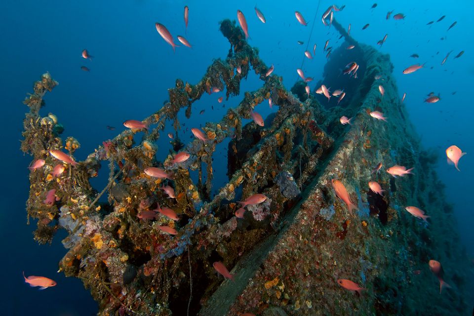 1 dubrovnik 1 day diving package Dubrovnik: 1-Day Diving Package