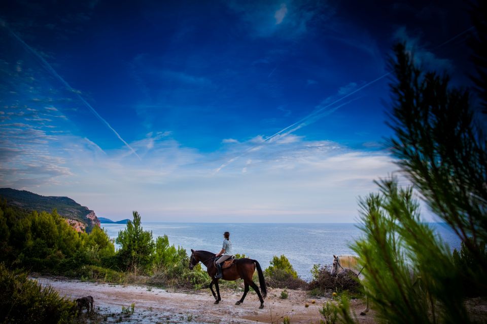 1 dubrovnik kojan koral horseback riding Dubrovnik Kojan Koral: Horseback Riding