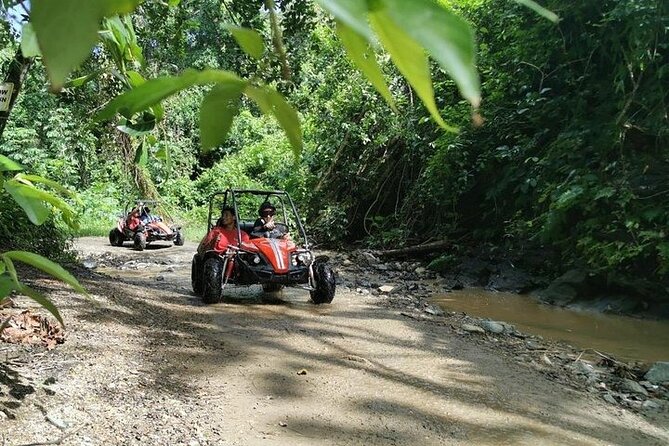 Dune Buggy Jungle Adventure & Muddy Beach Tour(Non Cruise Guests Only)