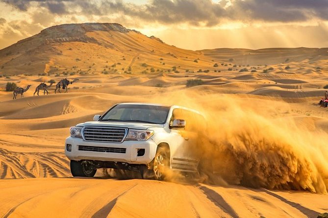 DXB Private Morning Desert Safari With Camel Ride N Sand Boarding