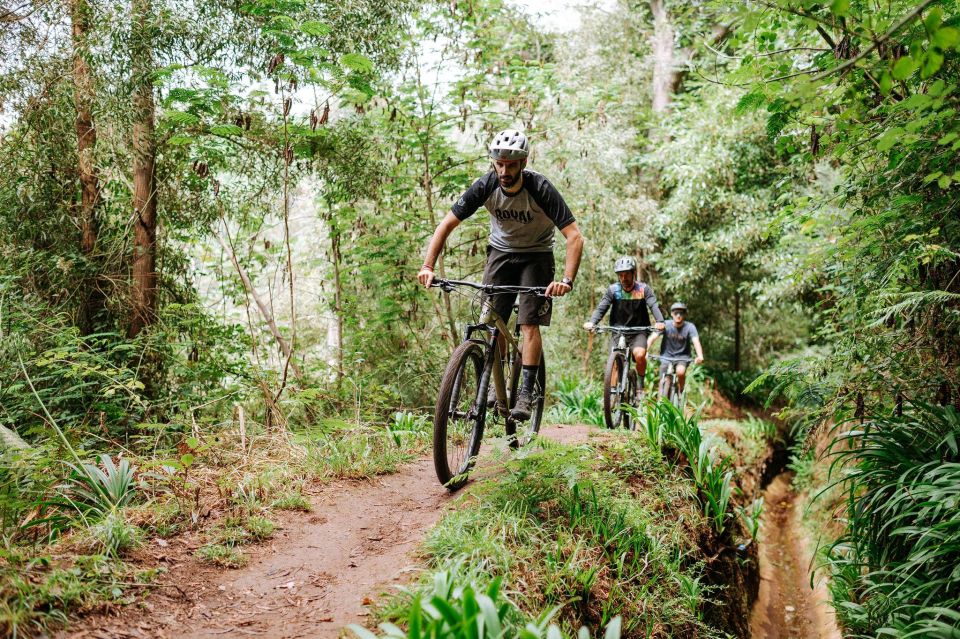 E-Bike Guided Tour – Mountain Biking Experience