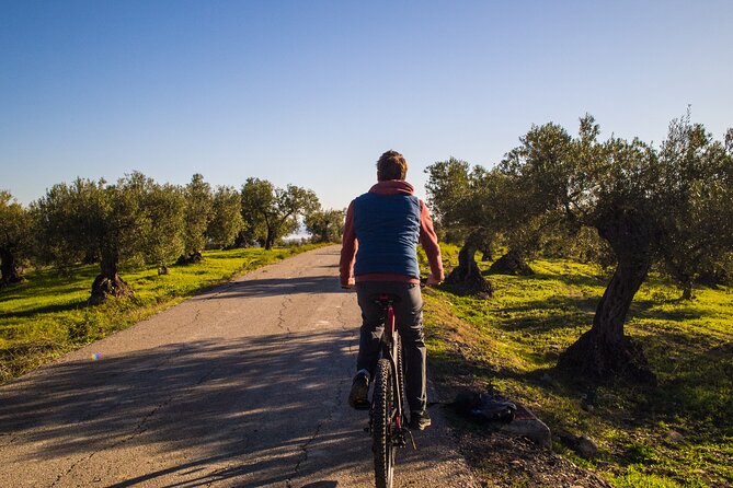 E-Bike Rent Sierra De Las Nieve (Alozaina). Free GPS Tracks and App Included.