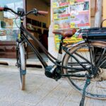 1 e bike rental in lucca E-Bike Rental in Lucca