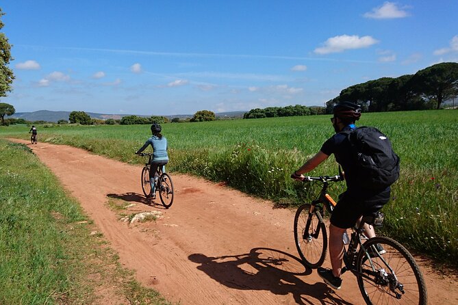 1 e bike self guided winery tour 20km easy E-Bike (Self-Guided) & Winery Tour - 20km Easy