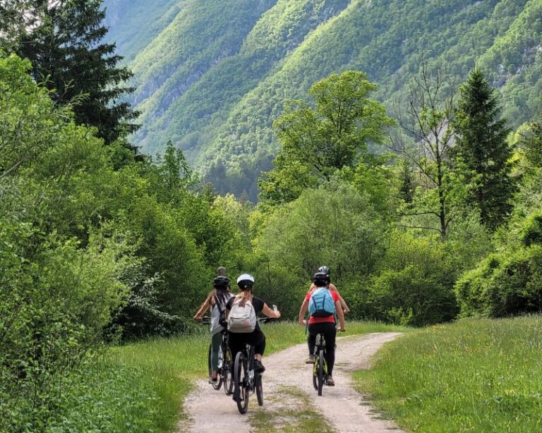 E-Bike Tour to the Great SočA Gorge & ŠUnik Water Grove