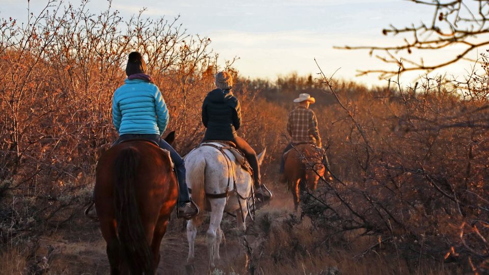 1 east zion pine knoll horseback tour East Zion: Pine Knoll Horseback Tour