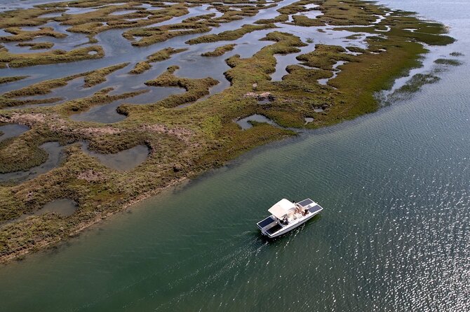 1 eco boat tour in the ria formosa lagoon from faro Eco Boat Tour in the Ria Formosa Lagoon From Faro