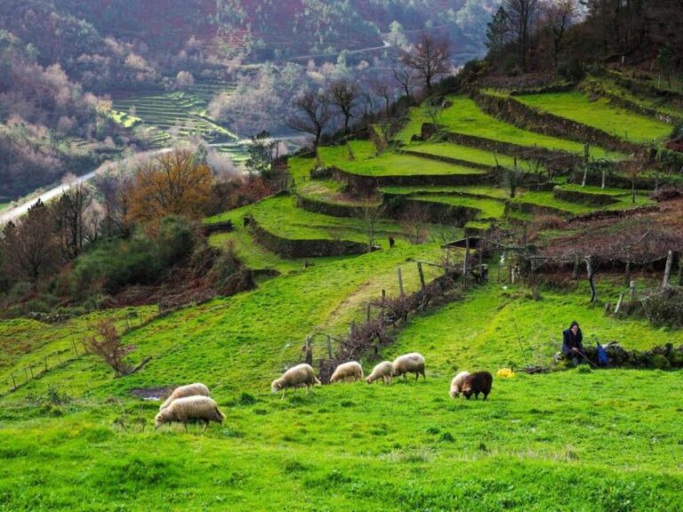 ECO Walking Tour Sistelo/Gerês Walkways