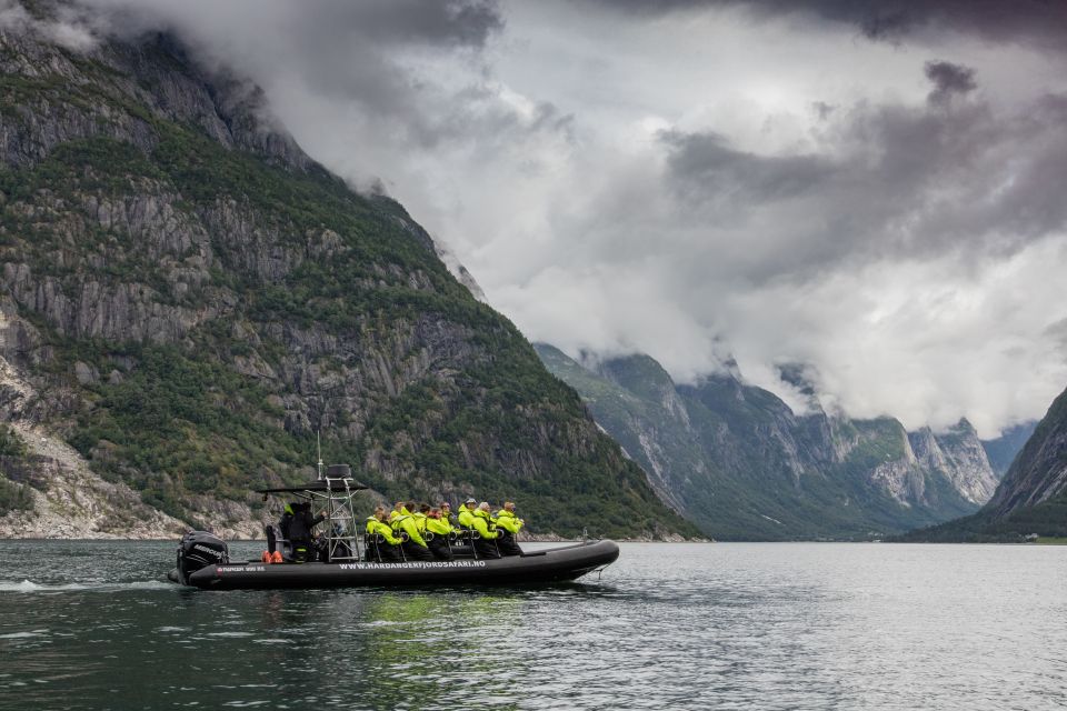 Eidfjord: 1-Hour Fjord RIB Tour - Experience Highlights and Wildlife Spotting