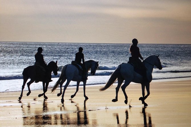 El Palmar Beach Horse Riding  – Andalucia