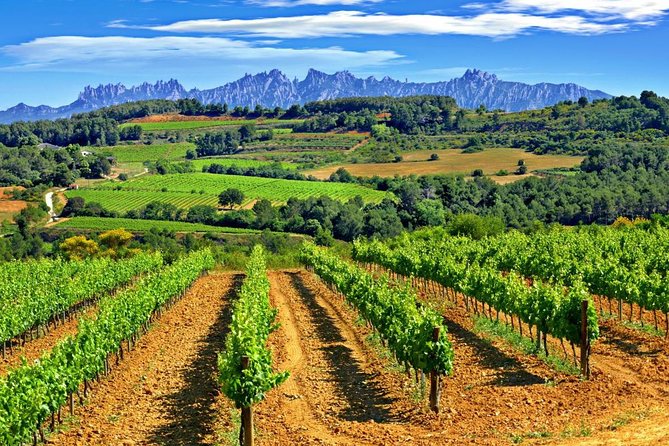 El Penedès Hike & Wine. Premium Small Group Tour From Barcelona