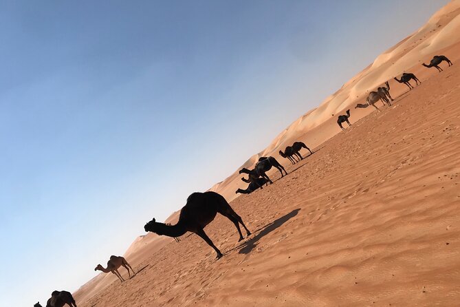 Empty Quarter Sunset Desert Safari