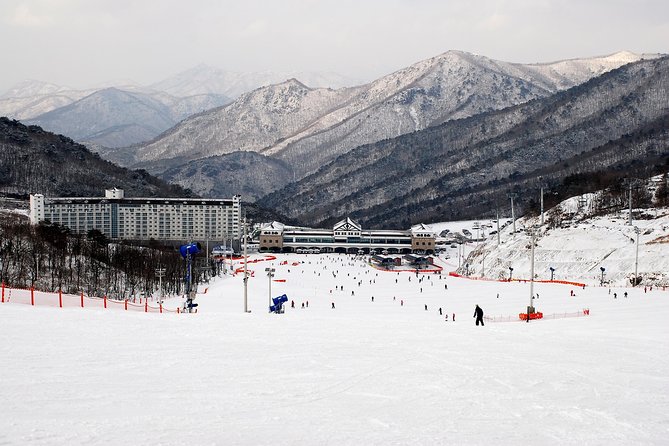 Enjoy Busan Winter at Eden Valley Resort One Day Tour