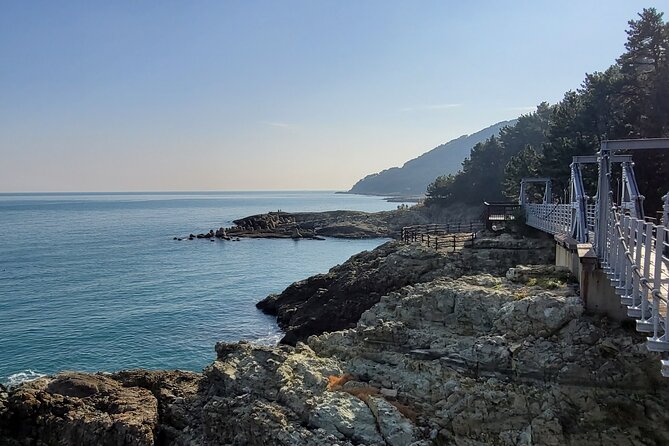 Enjoy Seafood After Walking Along the Coast From Igidae Park to Oryukdo Park.