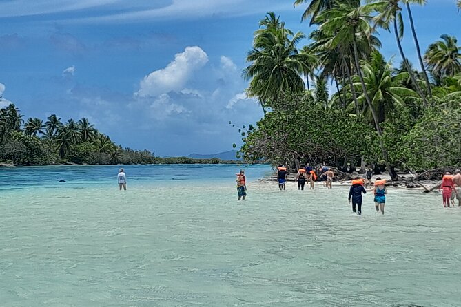 1 enjoy snorkeling with our multicolors fishes in tahaa famous coral garden Enjoy Snorkeling With Our Multicolors Fishes in TAHAA FAMOUS CORAL GARDEN