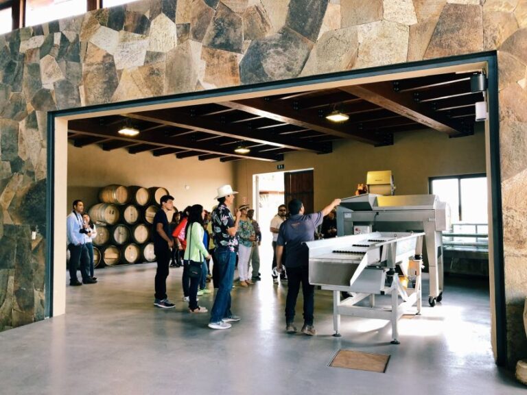 Ensenada: Rondo Del Valley Winery Tour With 5 Tastings