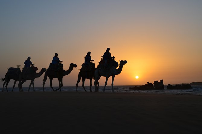 1 essaouira 1 2 day camel ride with meal Essaouira: 1/2 Day Camel Ride With Meal.