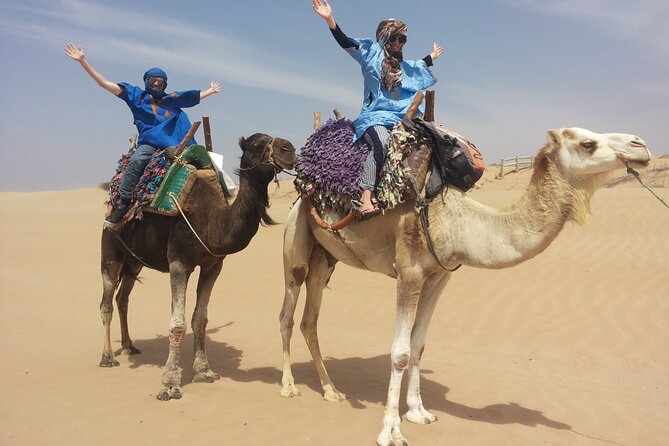 Essaouira 1 Hour Private Camel Ride