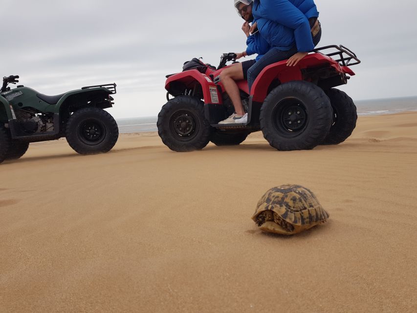 1 essaouira 1h quad bike tour and 1h camel ride Essaouira : 1H Quad Bike Tour and 1H Camel Ride