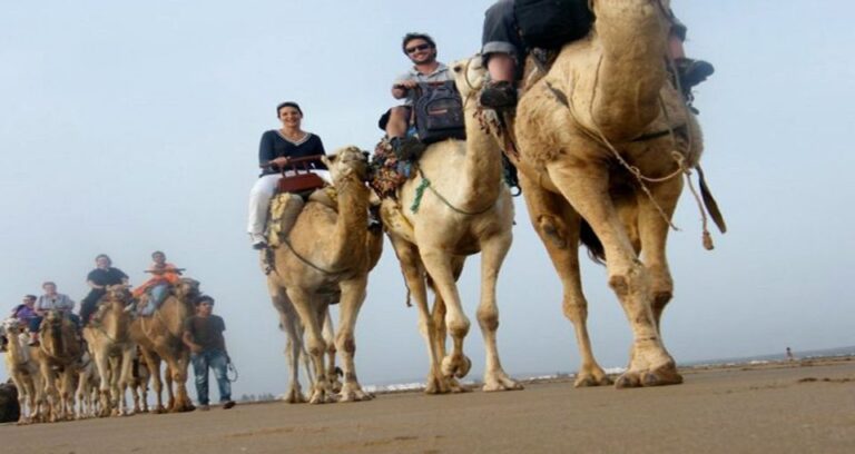 Essaouira: 2-Hour Camel Ride