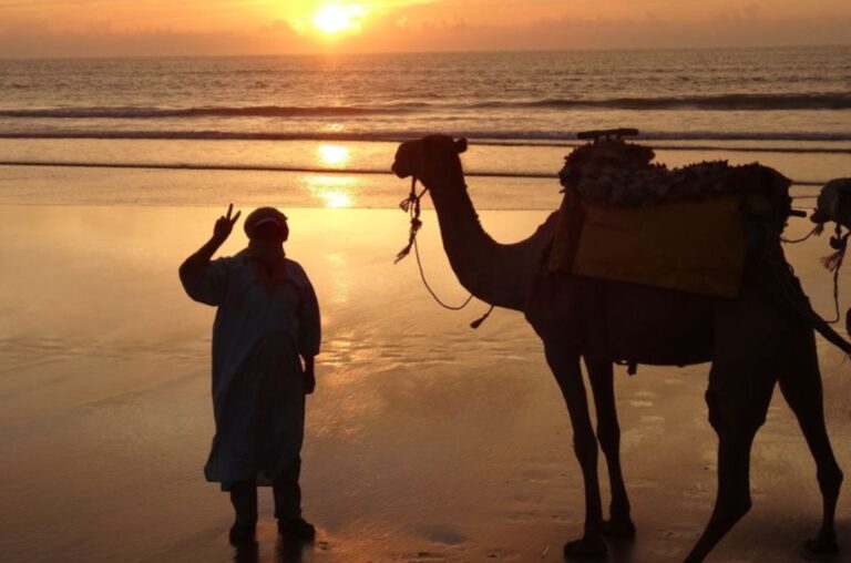 Essaouira: 3-Hour Dromedary Ride and Berber Tent Overnight