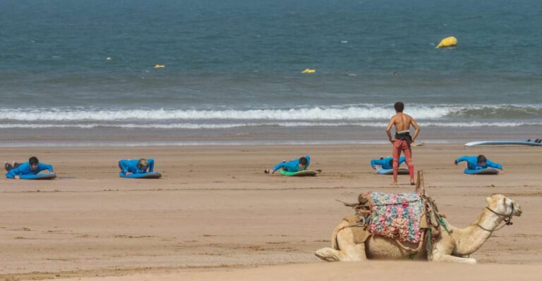 Essaouira: 4 Hour Surf Lesson