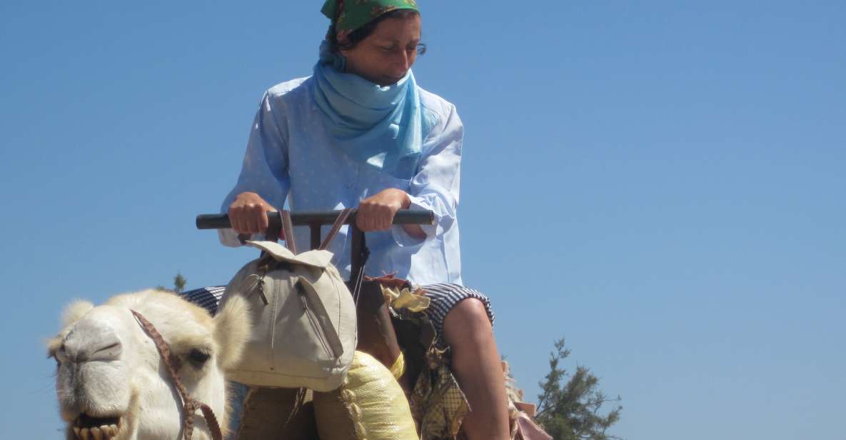 1 essaouira guided 2h dromedary riding with sunset Essaouira: Guided 2h Dromedary Riding With Sunset