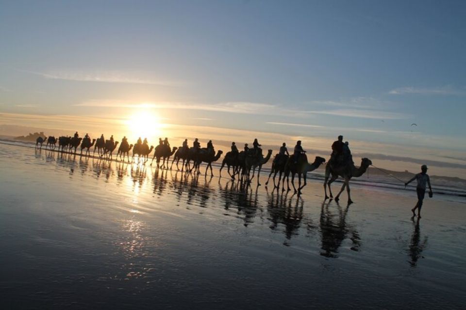 Essaouira: Guided Quad Bike Tour and Camel Ride