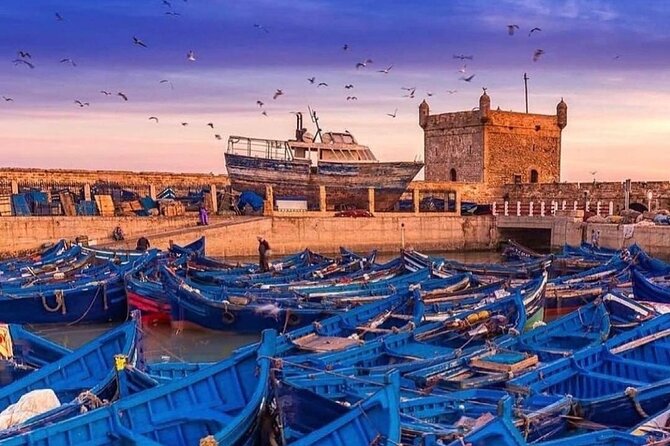 Essaouira Mogador City Guided Full-Day Trip From Marrakech
