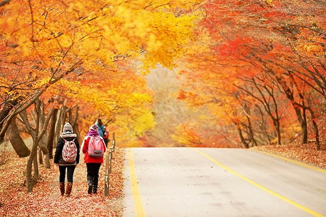 Essential Autumn Foliage of Korea 3 Days With Sorak and Odaesan Mountain