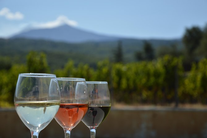 Etna DOC & Organic Wine Tasting and Tour of the 1815 Historic Winery - Sample Menu Offerings