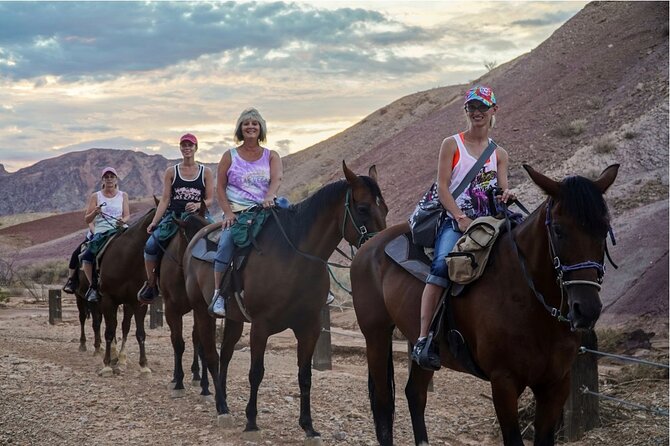 1 evening horseback riding tour Evening Horseback Riding Tour