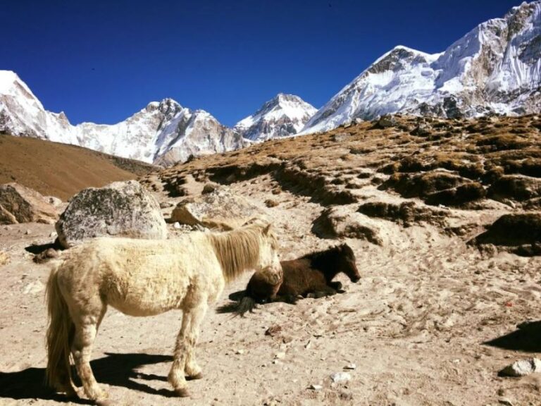 Everest Base Camp Trek Kala Patthar Trek – 13 Days