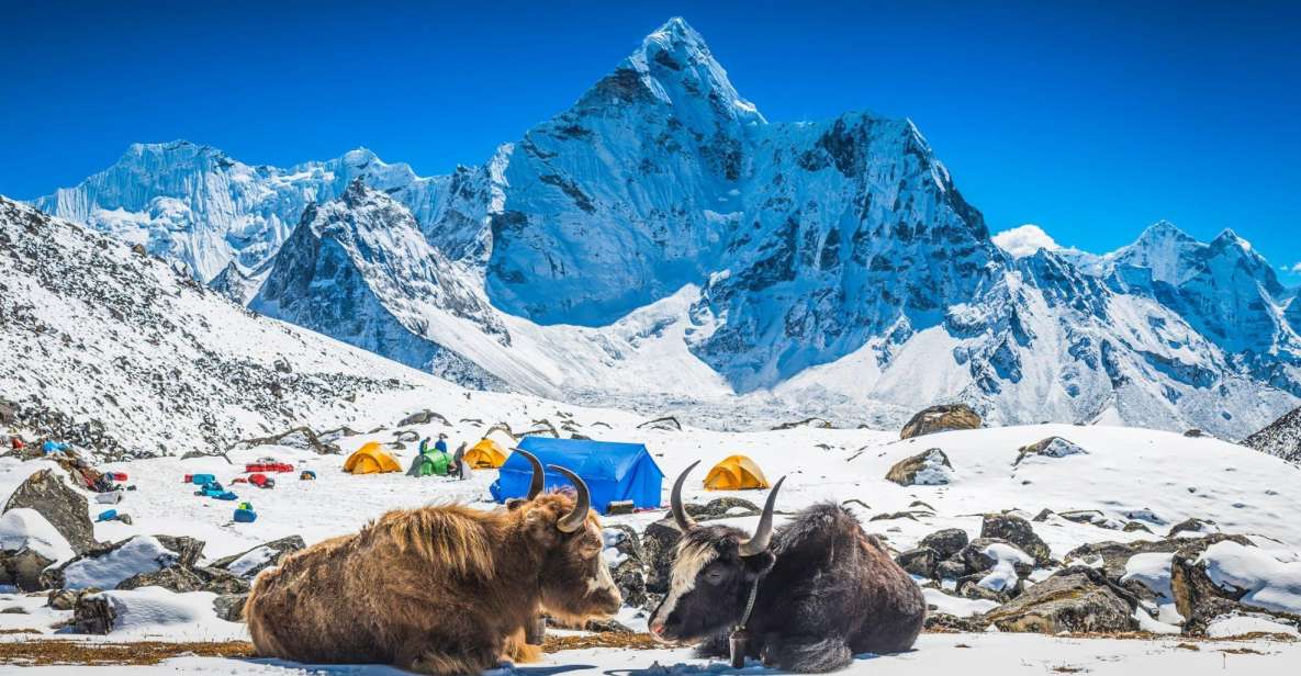 1 everest base camp trek majestic himalayan adventure Everest Base Camp Trek: Majestic Himalayan Adventure Expert