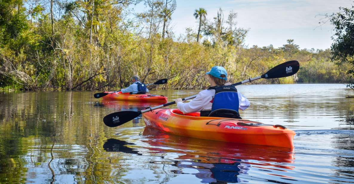 1 everglades city guided kayaking tour of the wetlands Everglades City: Guided Kayaking Tour of the Wetlands
