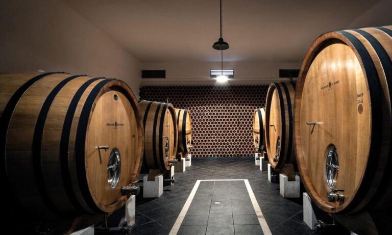 Evora, Winery & Cork Factory: Full-day Private Transport