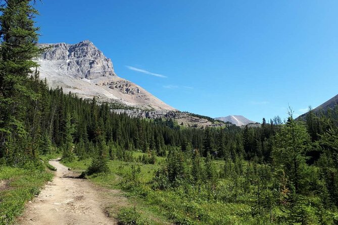 Exclusive Skoki Backcountry Guided Hiking in Lake Louise With Van Shuttle
