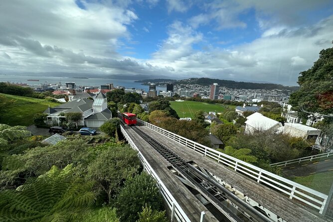 1 exclusive wellington sightseeing private tour Exclusive Wellington Sightseeing Private Tour